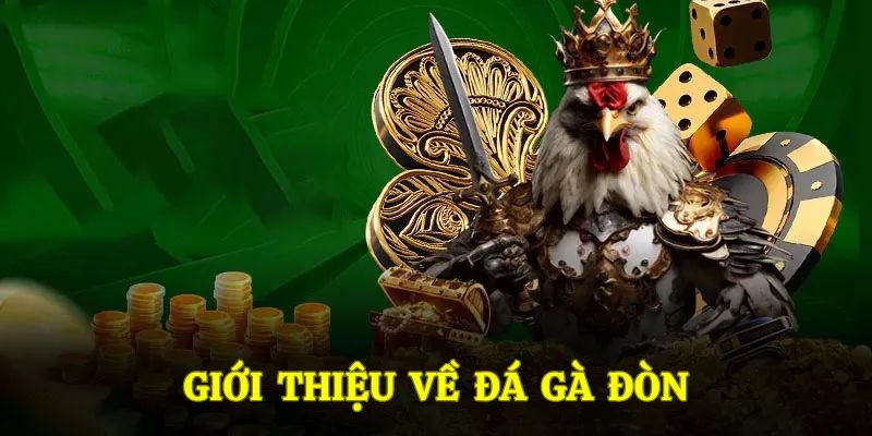 Giới thiệu cơ bản về hình thức đá gà đòn